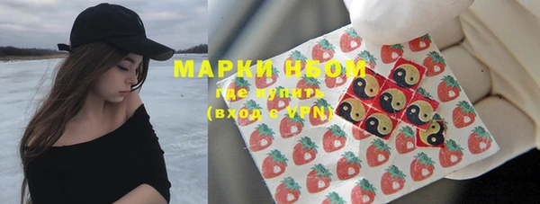 spice Богородск