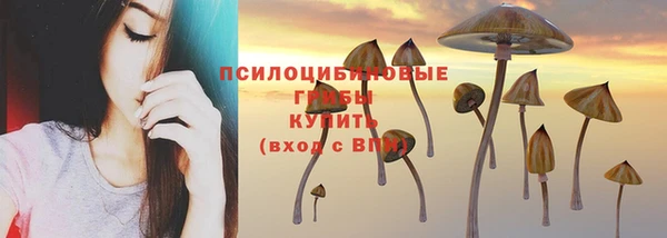 ECSTASY Белоозёрский
