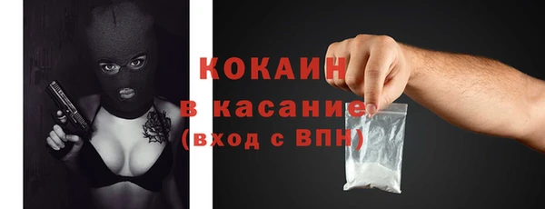 кокс Богородицк