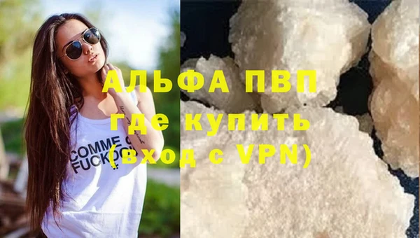spice Богородск