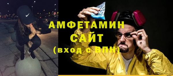 spice Богородск