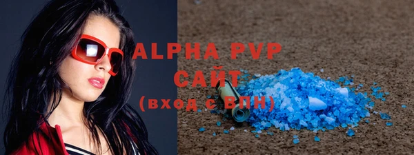 индика Приозерск