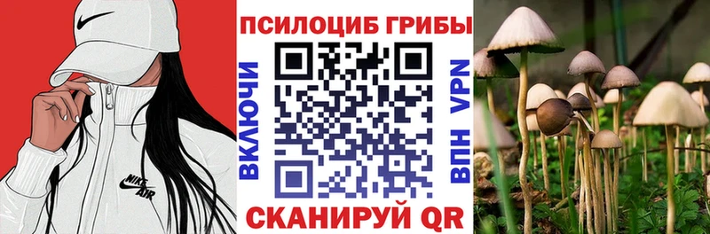 Псилоцибиновые грибы Psilocybine cubensis  Кимры 